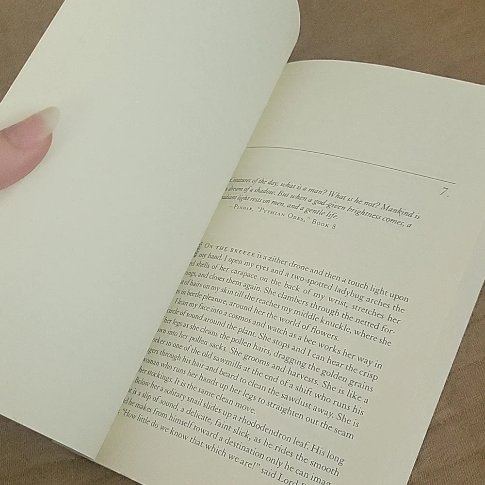 🍍5 for $20 • What The Stones Remember A Life Rediscovered - Picture 4 of 5